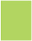 Citrus Green Flat Paper 4 1/4 x 5 1/2 - 50/Pk