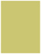 Tropical Green Flat Paper 4 1/4 x 5 1/2 - 50/Pk