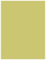 Tropical Green Flat Paper 4 1/4 x 5 1/2 - 50/Pk