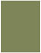 Cactus Flat Paper 4 1/4 x 5 1/2 - 50/Pk