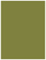 Olive Flat Paper 4 1/4 x 5 1/2 - 50/Pk