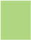 Pistachio Flat Paper 4 x 5 1/4 - 50/Pk