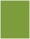 Iguana Flat Paper 4 x 5 1/4 - 50/Pk