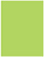 Citrus Green Flat Paper 4 x 5 1/4 - 50/Pk