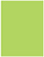 Citrus Green Flat Paper 4 x 5 1/4 - 50/Pk