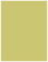 Tropical Green Flat Paper 4 x 5 1/4 - 50/Pk