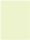 Spring Flat Paper 4 x 5 1/4 - 50/Pk
