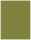 Olive Flat Paper 4 x 5 1/4 - 50/Pk