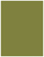 Olive Flat Paper 4 x 5 1/4 - 50/Pk