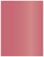 Azalea Flat Paper 4 x 5 1/4 - 50/Pk