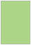 Pistachio Flat Paper 4 x 6 - 50/Pk