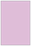 Purple Lace Flat Paper 4 x 6 - 50/Pk