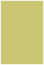 Tropical Green Flat Paper 4 x 6 - 50/Pk