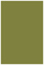 Olive Flat Paper 4 x 6 - 50/Pk