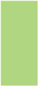 Pistachio Flat Paper 4 x 9 1/4 - 50/Pk