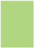 Pistachio Flat Paper 4 1/2 x 6 1/4 - 50/Pk