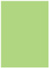 Pistachio Flat Paper 4 1/2 x 6 1/4 - 50/Pk