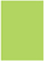 Citrus Green Flat Paper 4 1/2 x 6 1/4 - 50/Pk