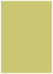 Tropical Green Flat Paper 4 1/2 x 6 1/4 - 50/Pk