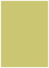 Tropical Green Flat Paper 4 1/2 x 6 1/4 - 50/Pk