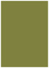 Olive Flat Paper 4 1/2 x 6 1/4 - 50/Pk