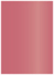 Azalea Flat Paper 4 1/2 x 6 1/4 - 50/Pk