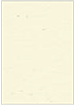 Milkweed Flat Paper 4 1/4 x 6 - 50/Pk