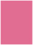 Peony Flat Paper 4 1/4 x 6 - 50/Pk