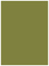 Olive Flat Paper 4 1/4 x 6 - 50/Pk