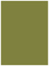 Olive Flat Paper 4 1/4 x 6 - 50/Pk