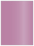 Punch Flat Paper 4 1/4 x 6 - 50/Pk