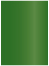 Botanic Flat Paper 4 1/4 x 6 - 50/Pk