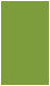 Iguana Flat Paper 4 1/4 x 7 - 50/Pk