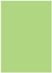 Pistachio Flat Paper 4 7/8 x 6 7/8 - 50/Pk