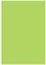 Citrus Green Flat Paper 4 7/8 x 6 7/8 - 50/Pk