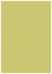 Tropical Green Flat Paper 4 7/8 x 6 7/8 - 50/Pk