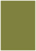 Olive Flat Paper 4 7/8 x 6 7/8 - 50/Pk