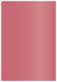 Azalea Flat Paper 4 7/8 x 6 7/8 - 50/Pk