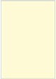 Sugared Lemon Flat Paper 4 3/4 x 6 3/4 - 50/Pk