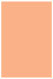 Ginger Flat Paper 4 3/4 x 6 3/4 - 50/Pk