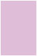 Purple Lace Flat Paper 4 3/4 x 6 3/4 - 50/Pk