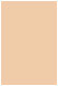 Latte Flat Paper 4 3/4 x 6 3/4 - 50/Pk