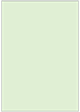 Green Tea Flat Paper 4 3/4 x 6 3/4 - 50/Pk