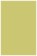 Tropical Green Flat Paper 4 3/4 x 6 3/4 - 50/Pk