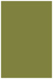 Olive Flat Paper 4 3/4 x 6 3/4 - 50/Pk