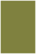 Olive Flat Paper 4 3/4 x 6 3/4 - 50/Pk