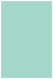 Tiffany Blue Flat Paper 4 3/4 x 6 3/4 - 50/Pk