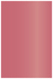 Azalea Flat Paper 4 3/4 x 6 3/4 - 50/Pk
