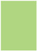 Pistachio Flat Paper 5 x 7 - 50/Pk