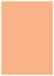 Ginger Flat Paper 5 x 7 - 50/Pk